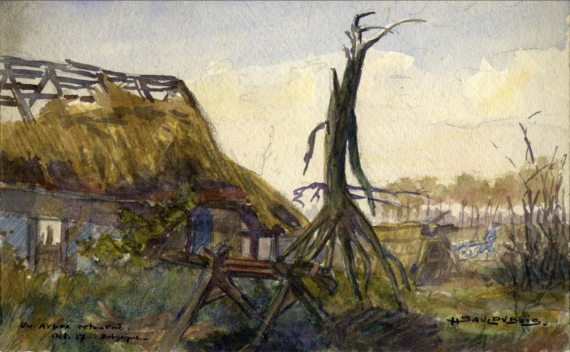 Arbre retourné
