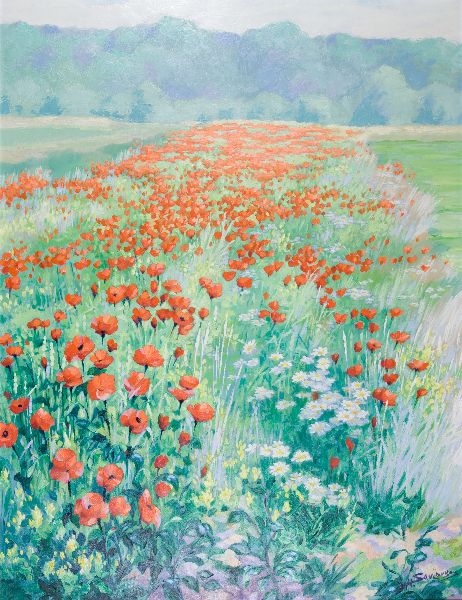 Coquelicots